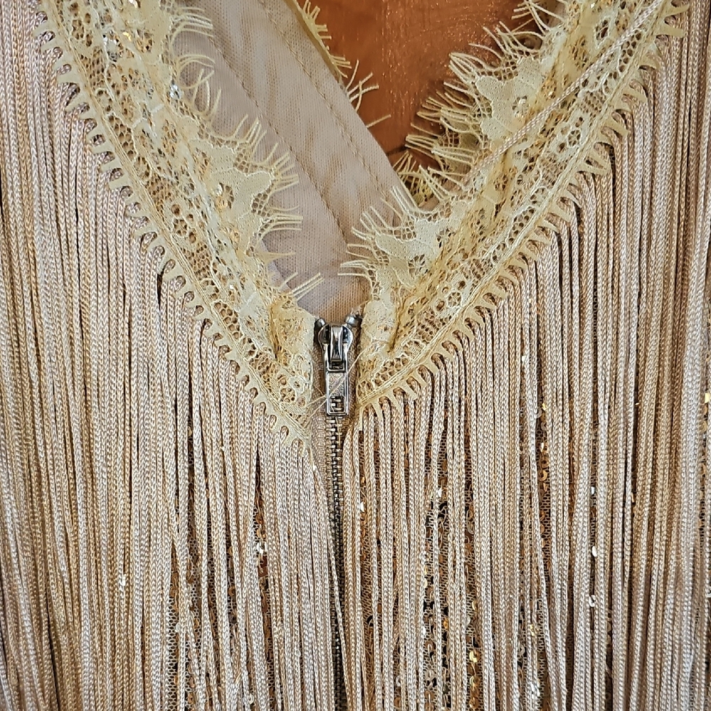 Nude and Gold Sequin Fringe Party Dress - Size Large - Picture 7 of 12